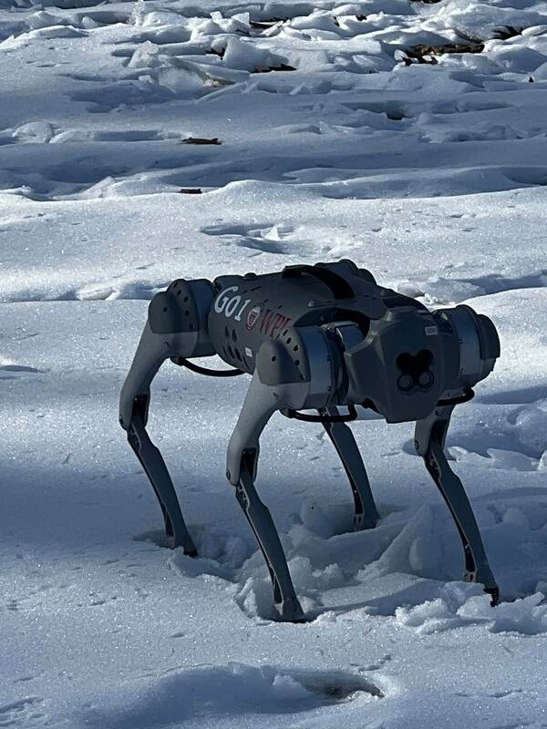 Mobile robot Unitree Go1 traversing terrain